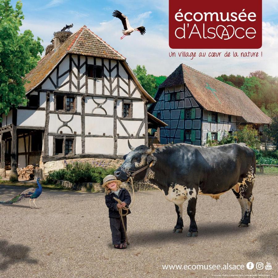 Le Panorama Du Murat Mulhouse Riedisheim 68 Haut-Rhin Alsace Saint-Louis מראה חיצוני תמונה