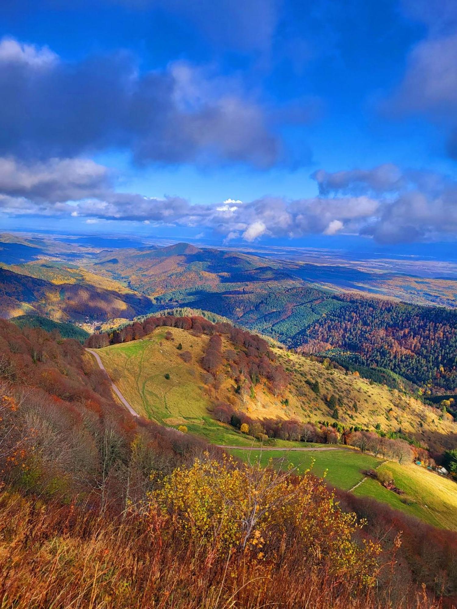 Le Panorama Du Murat Mulhouse Riedisheim 68 Haut-Rhin Alsace Saint-Louis מראה חיצוני תמונה
