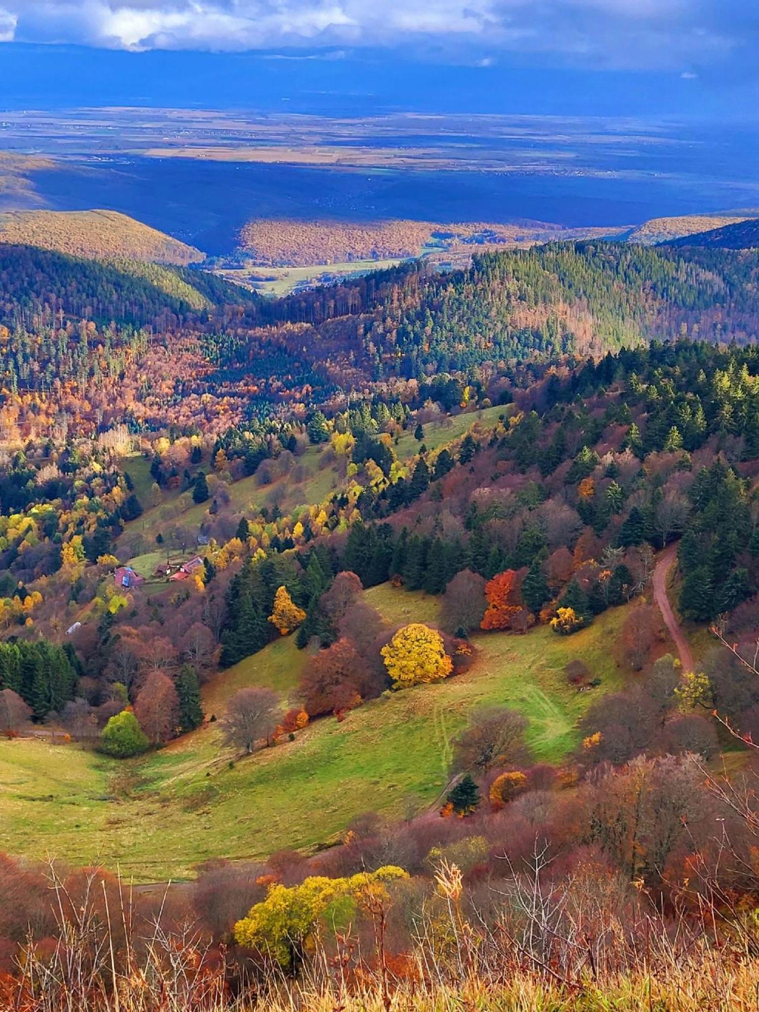 Le Panorama Du Murat Mulhouse Riedisheim 68 Haut-Rhin Alsace Saint-Louis מראה חיצוני תמונה